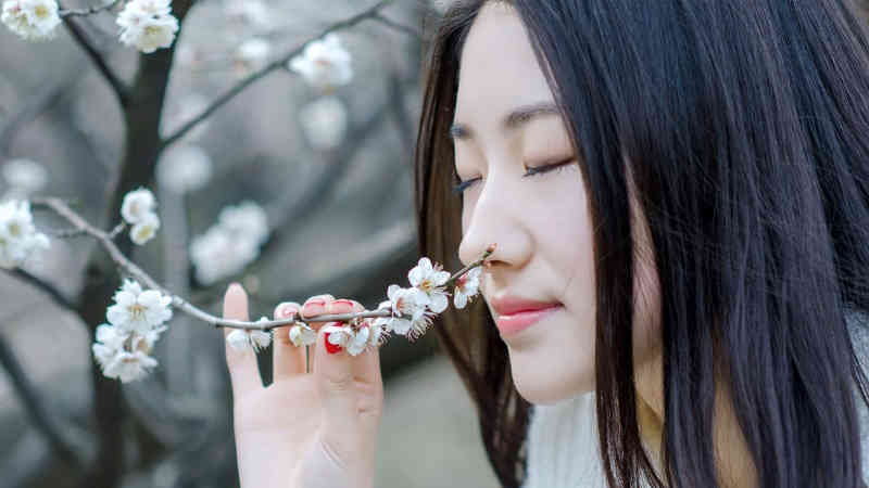 张家口伤医事件 [热点]